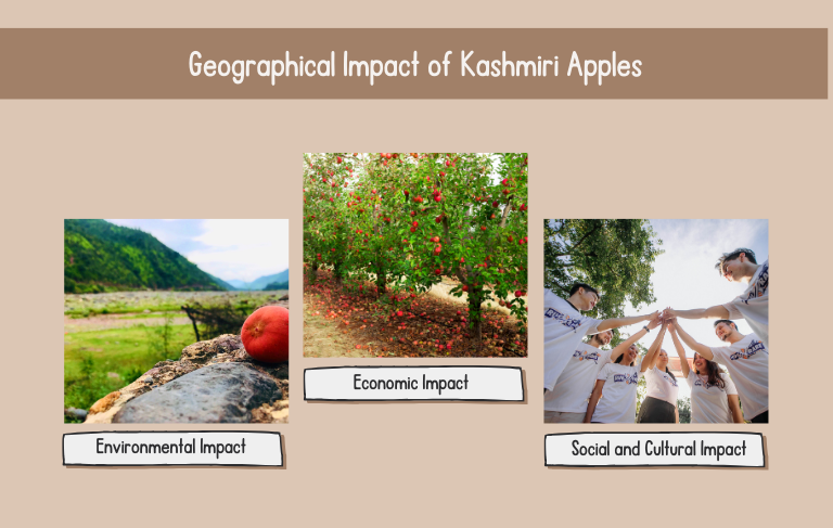 Geographical Impact of Kashmiri Apples Kashmirmart.com