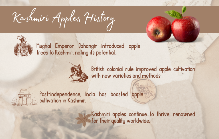 Kashmiri Apples History KAshmirmart.com